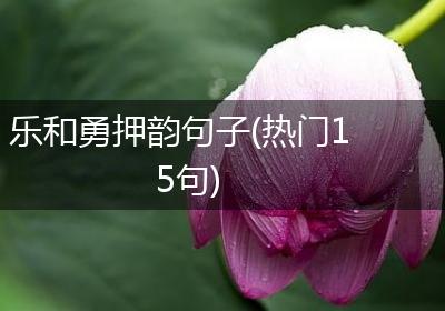 乐和勇押韵句子(热门15句)