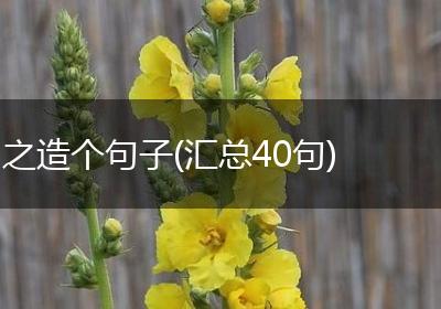 之造个句子(汇总40句)