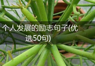 个人发展的励志句子(优选50句)