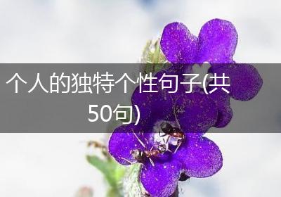 个人的独特个性句子(共50句)