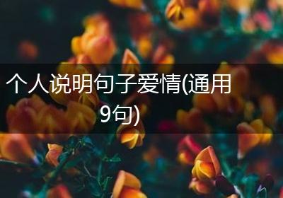 个人说明句子爱情(通用9句)