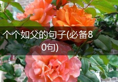 个个如父的句子(必备80句)