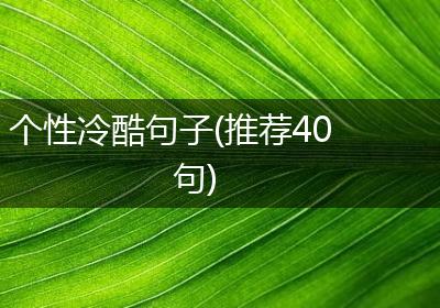 个性冷酷句子(推荐40句)