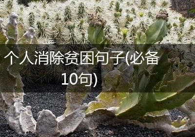 个人消除贫困句子(必备10句)