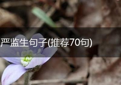 严监生句子(推荐70句)