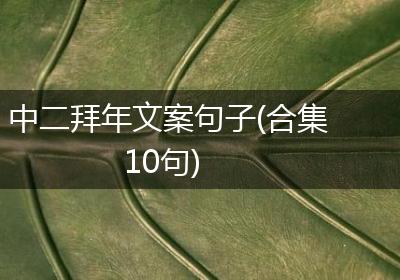 中二拜年文案句子(合集10句)