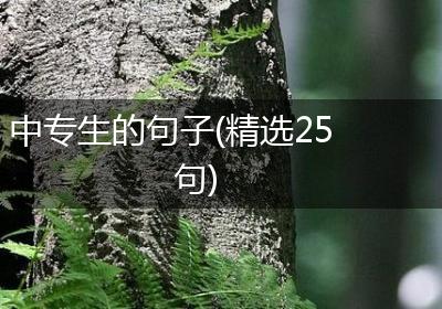 中专生的句子(精选25句)