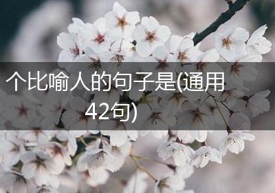 个比喻人的句子是(通用42句)