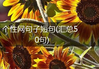 个性网句子短句(汇总50句)