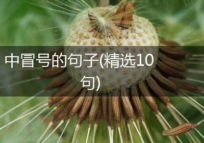 中冒号的句子(精选10句)