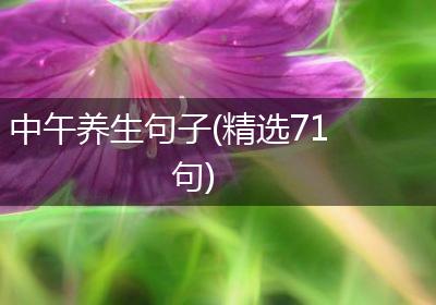 中午养生句子(精选71句)