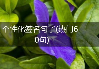个性化签名句子(热门60句)