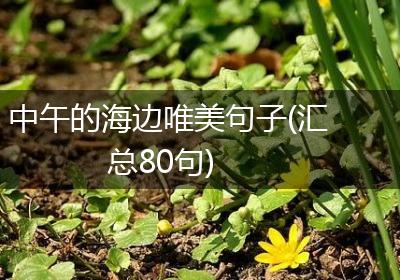 中午的海边唯美句子(汇总80句)