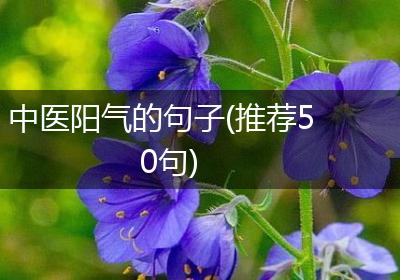 中医阳气的句子(推荐50句)