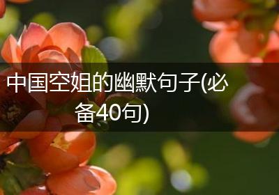 中国空姐的幽默句子(必备40句)