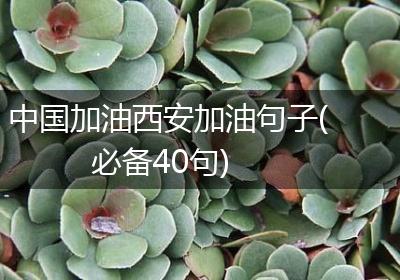 中国加油西安加油句子(必备40句)