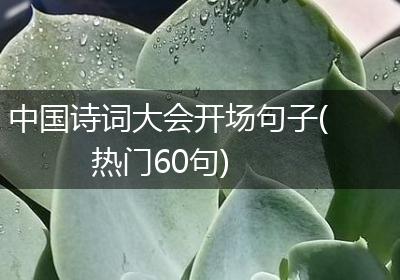 中国诗词大会开场句子(热门60句)