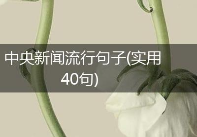 中央新闻流行句子(实用40句)