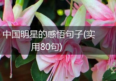 中国明星的感悟句子(实用80句)