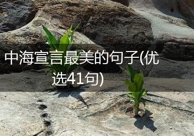 中海宣言最美的句子(优选41句)