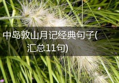 中岛敦山月记经典句子(汇总11句)