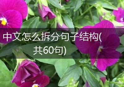 中文怎么拆分句子结构(共60句)