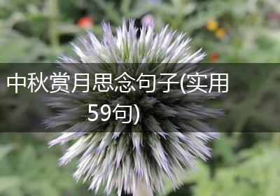 中秋赏月思念句子(实用59句)