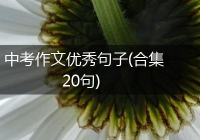 中考作文优秀句子(合集20句)
