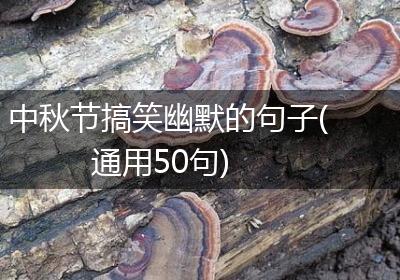 中秋节搞笑幽默的句子(通用50句)