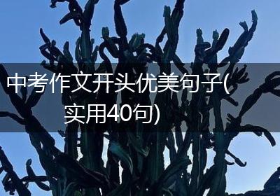 中考作文开头优美句子(实用40句)