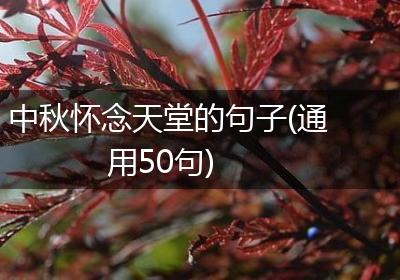 中秋怀念天堂的句子(通用50句)