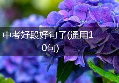 中考好段好句子(通用10句)