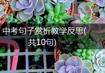 中考句子赏析教学反思(共10句)
