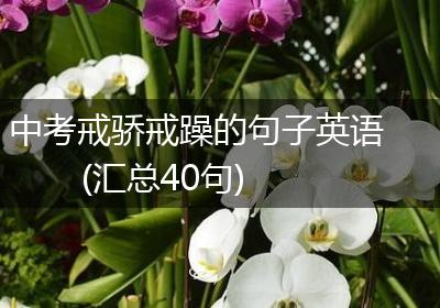 中考戒骄戒躁的句子英语(汇总40句)