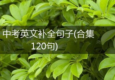 中考英文补全句子(合集120句)