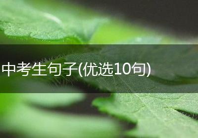 中考生句子(优选10句)
