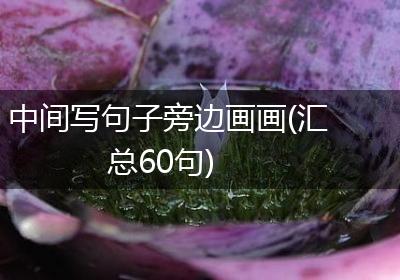 中间写句子旁边画画(汇总60句)
