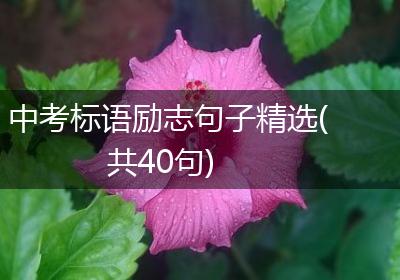 中考标语励志句子精选(共40句)