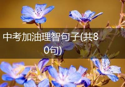 中考加油理智句子(共80句)