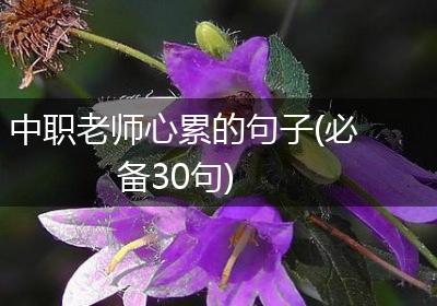 中职老师心累的句子(必备30句)