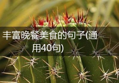 丰富晚餐美食的句子(通用40句)