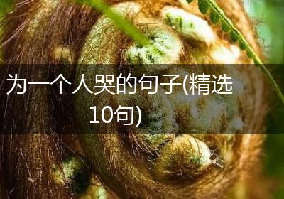 为一个人哭的句子(精选10句)