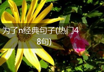 为了n经典句子(热门48句)