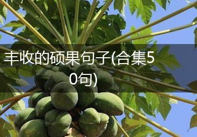 丰收的硕果句子(合集50句)