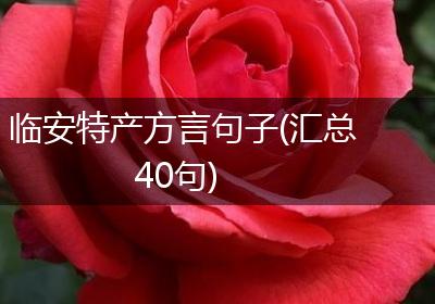 临安特产方言句子(汇总40句)