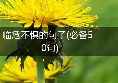 临危不惧的句子(必备50句)