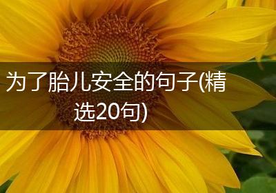 为了胎儿安全的句子(精选20句)