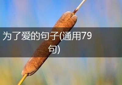 为了爱的句子(通用79句)
