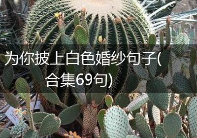 为你披上白色婚纱句子(合集69句)
