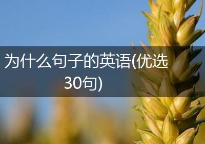 为什么句子的英语(优选30句)